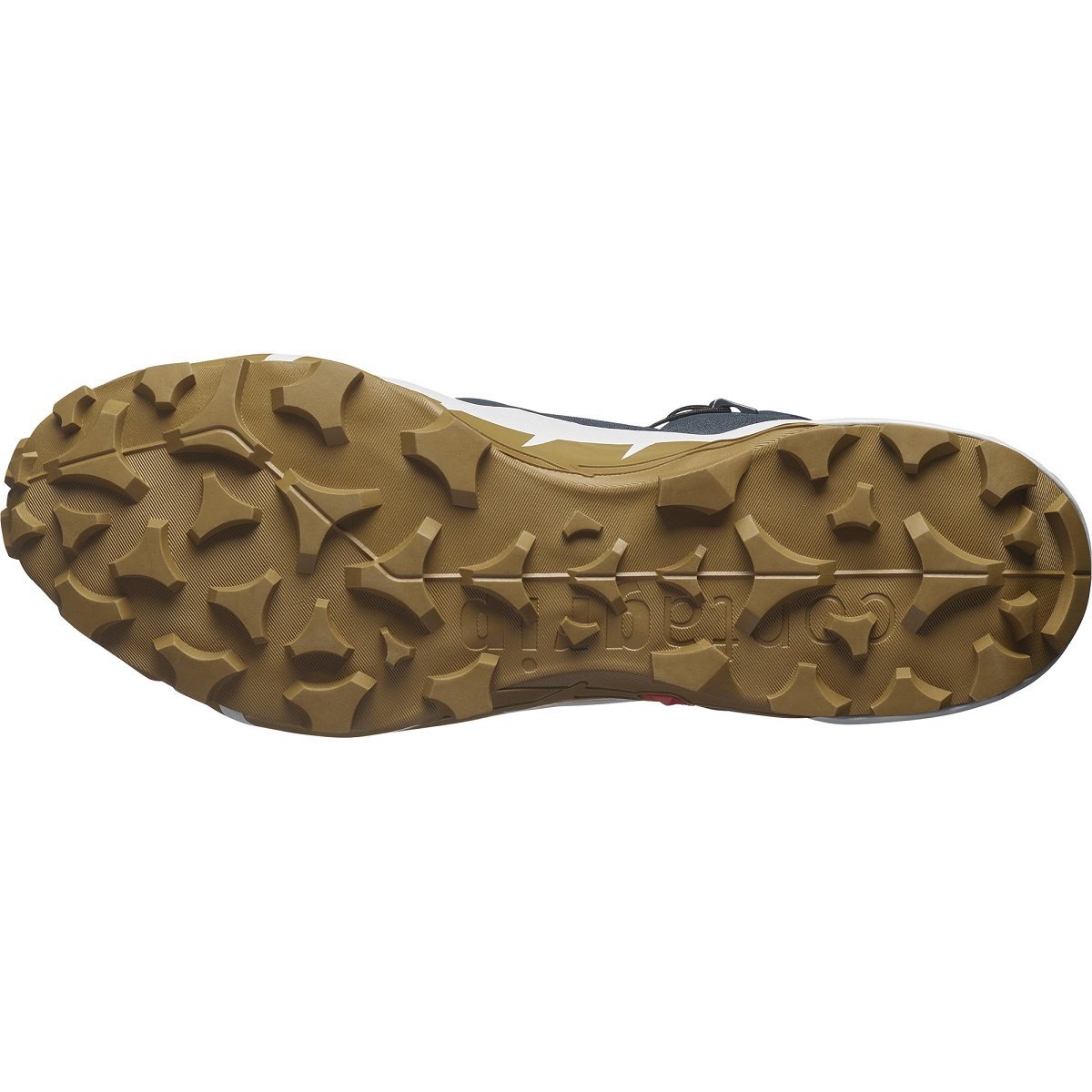 Взуття Salomon Cross Hike Mid GTX 2 M - сірий/коричневий