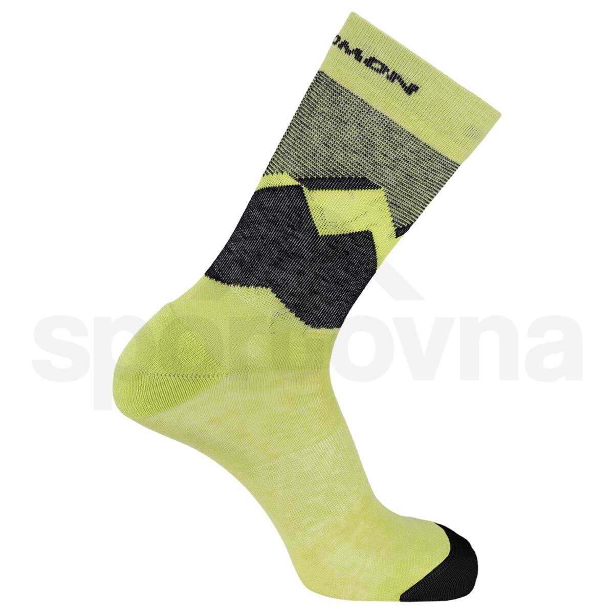 Ponožky Salomon Outline Crew 2-Pack - modrá/zelená