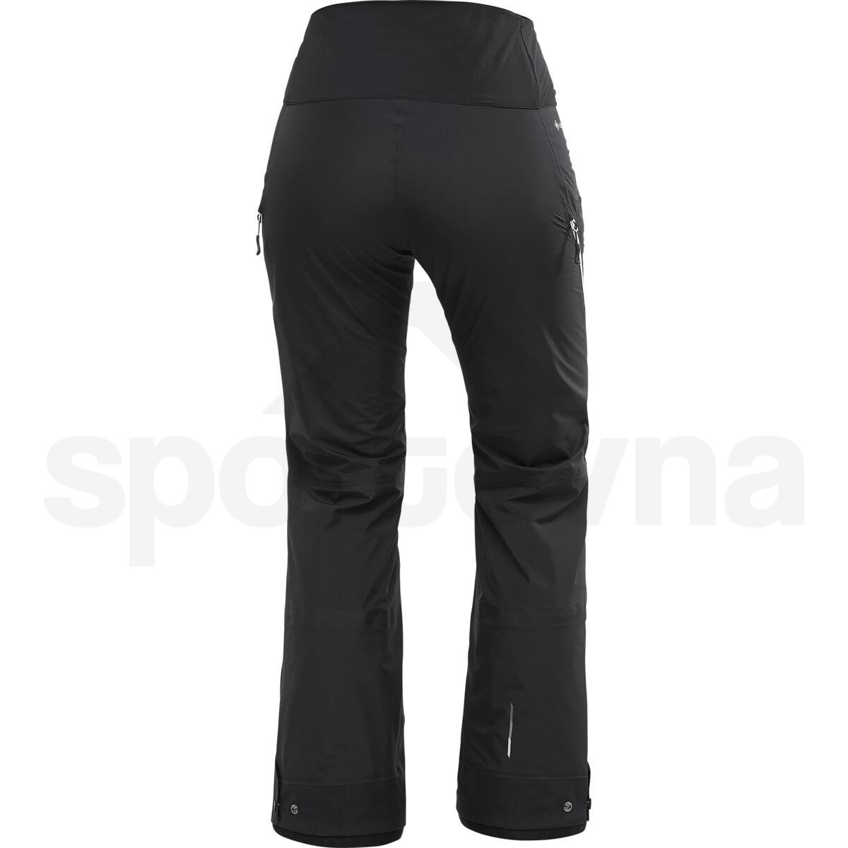 Kalhoty Salomon Mountain GTX 3L Pants W - černá