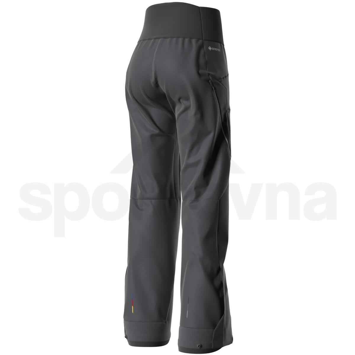 Kalhoty Salomon Mountain GTX 3L Pants W - černá