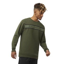 LC2029000_0_MOD_essentialcrewneck_forestnightgrapeleaf_hike_m.png.cq5dam.web.1200.1200-removebg-preview