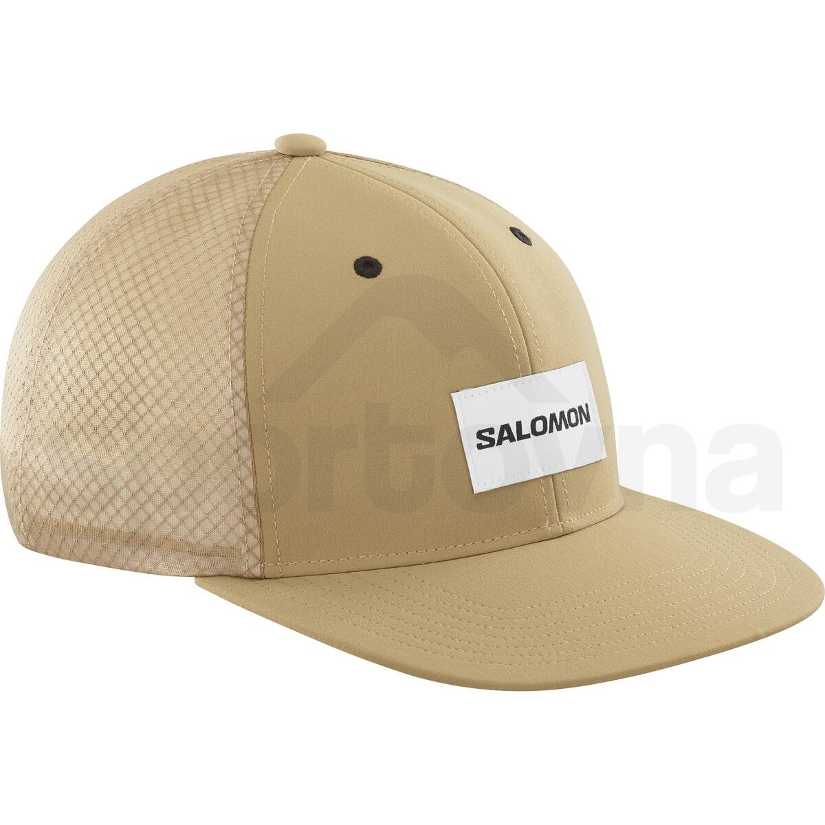 Kšiltovka Salomon Trucker Flat Cap - hnědá