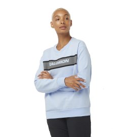 LC2029400_essentialcrewneck_chambraybluequietshade