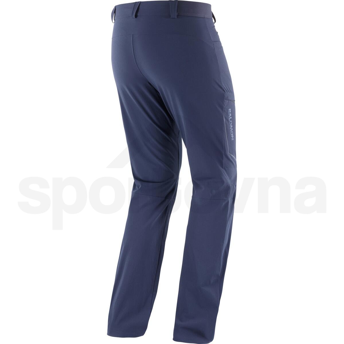 Kalhoty Salomon Wayfarer Pants M - modrá (standardní délka)