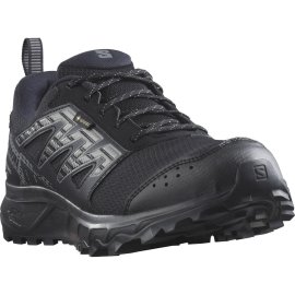 L47148400_WANDER GTXBlack_Pewter_Frost Gray