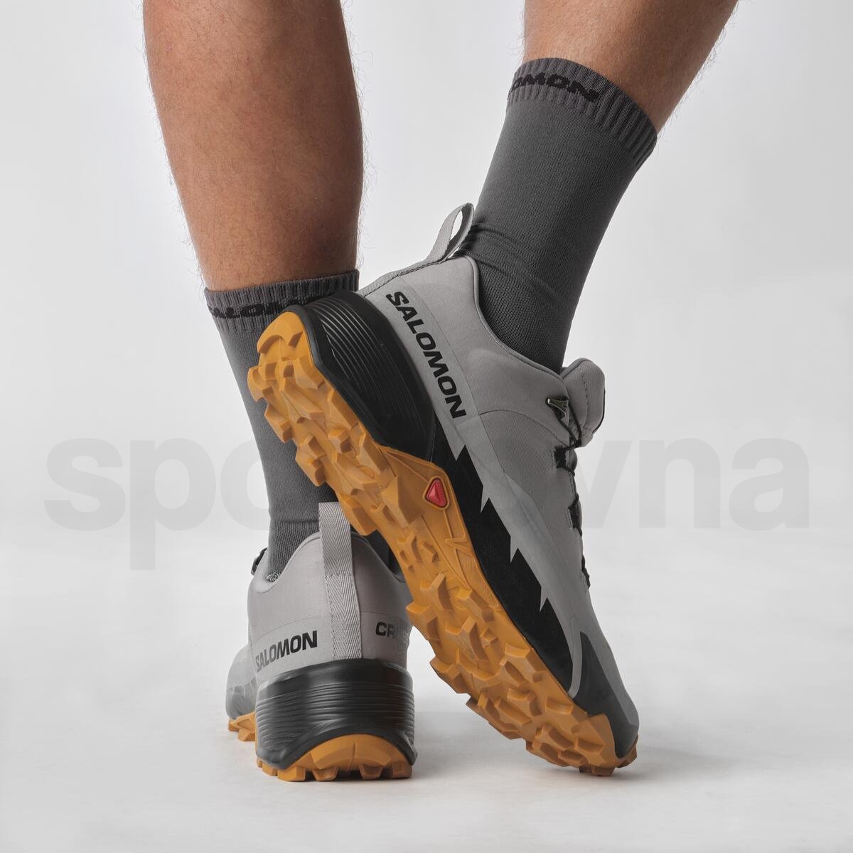 Obuv Salomon Cross Hike GTX 2 M - šedá