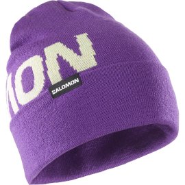 LC2152800_hermitagebeanie_royalpurple_ski_u