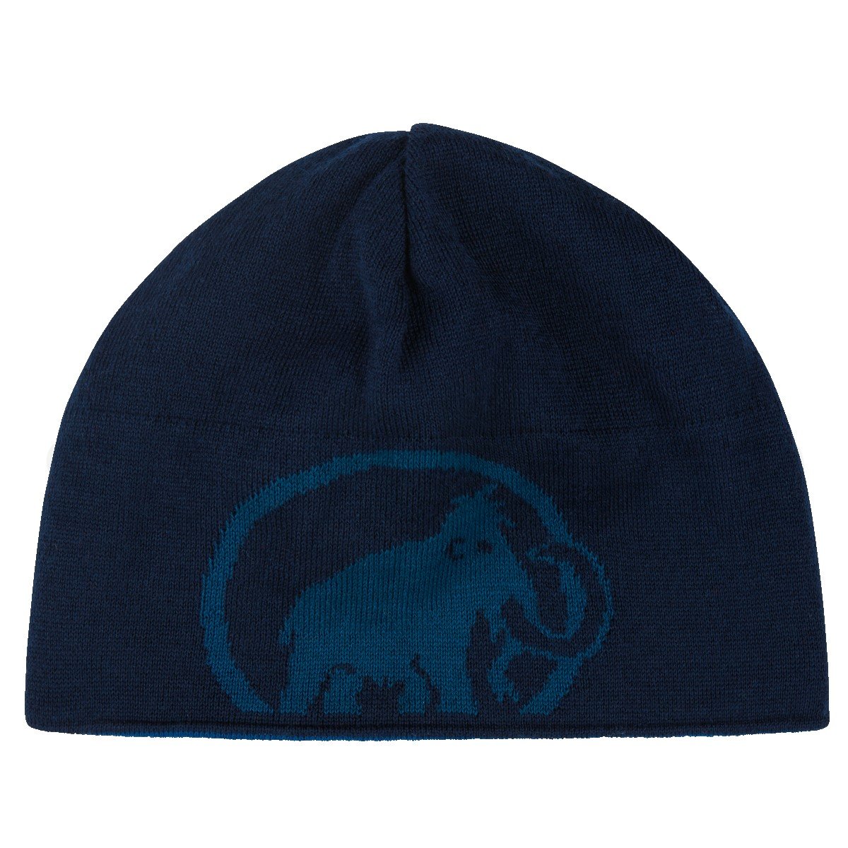 Čepice Mammut Logo Beanie - modrá