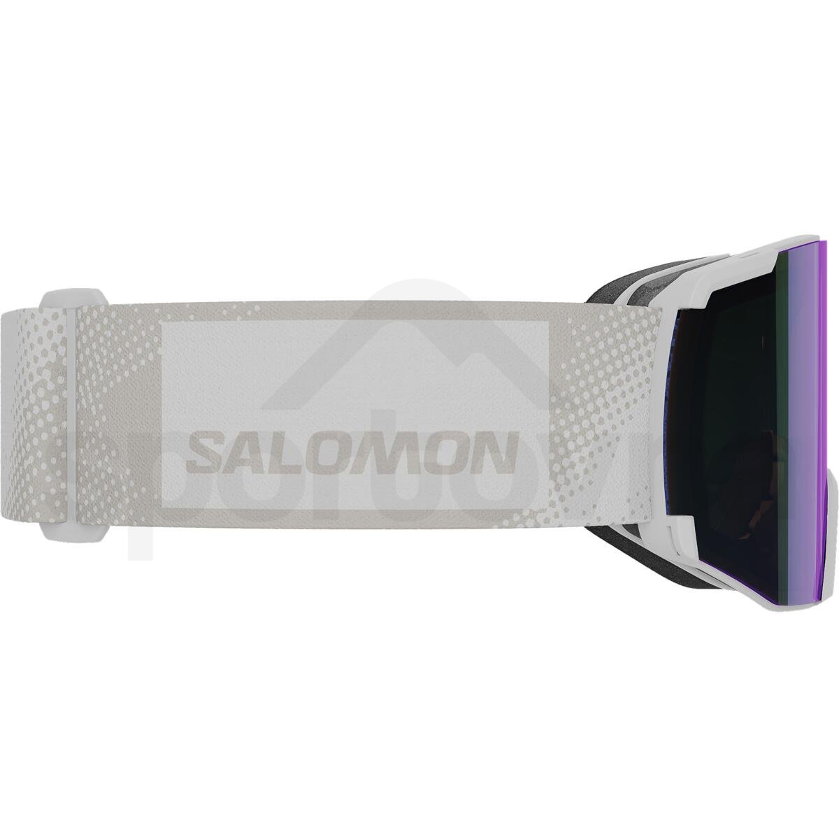 Lyžařké brýle Salomon S/View Photochromic - bílá
