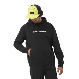 LC2246300_0_MOD_sallogoperfhoodie_deepblack_sportswear_m.png.high-res