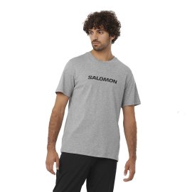 LC2245600_0_MOD_sallogoperfsstee_heathergrey_sportswear_m.png.high-res