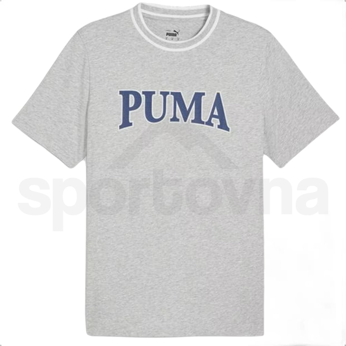 Tričko Puma Squad Big Graphic Tee M - šedá