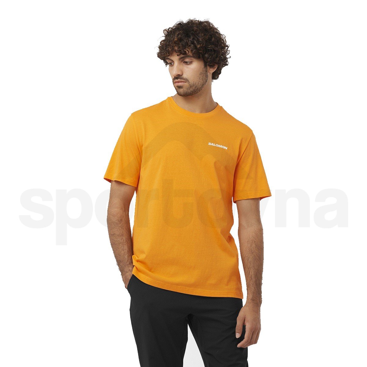 Tričko Salomon Graphic Performance SS Tee M - žlutá