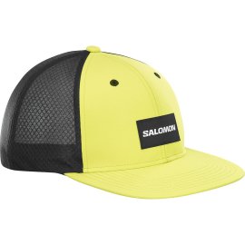 LC2232100_0_GHO_truckerflatcap_sulphur_headwear_u.png.high-res