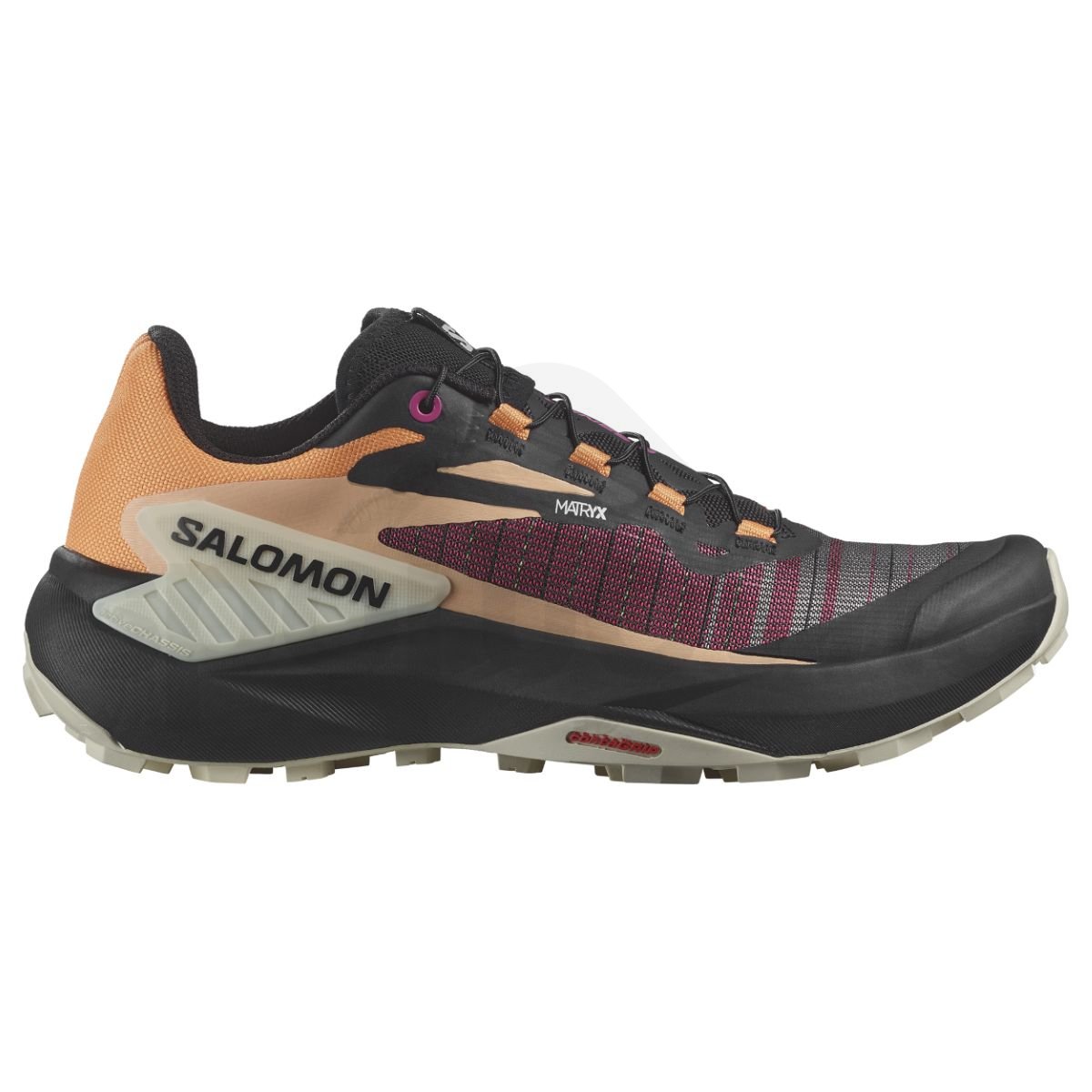 Кросівки Salomon Genesis W - чорний