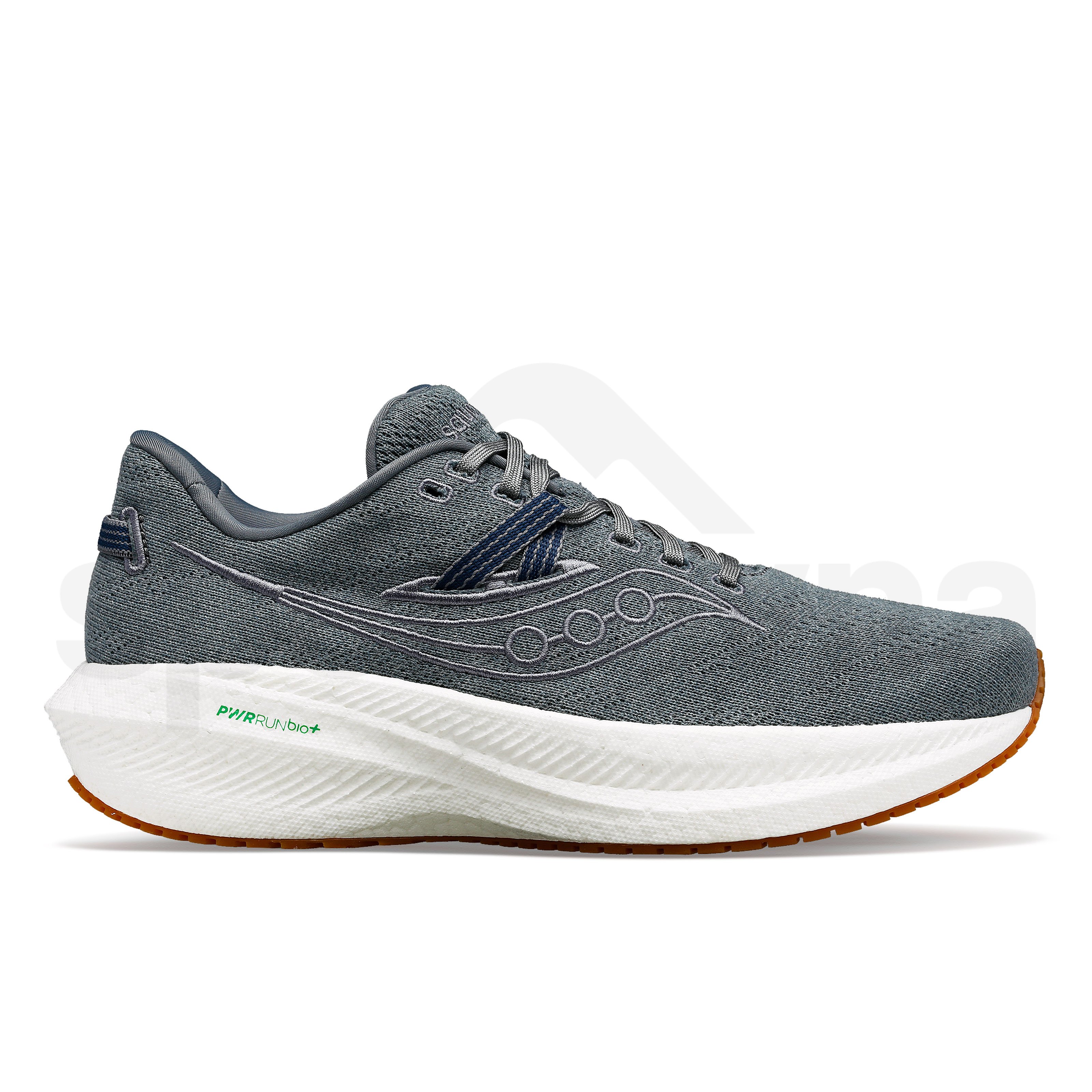 Obuv Saucony Triumph RFG M - sivá