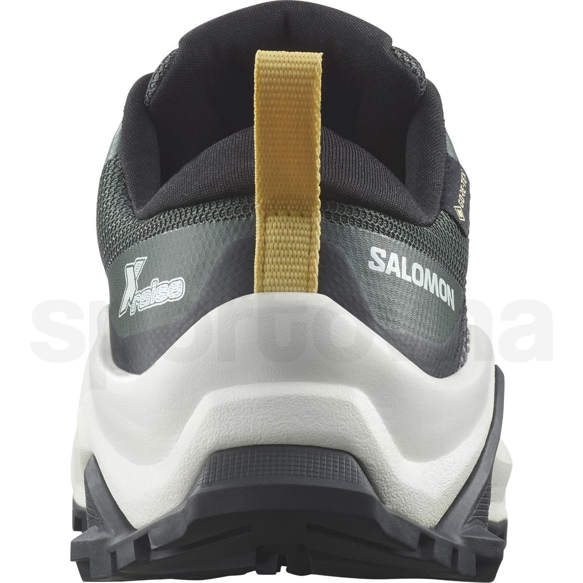 Кросівки Salomon X Raise GTX J - зелений / чорний / жовтий