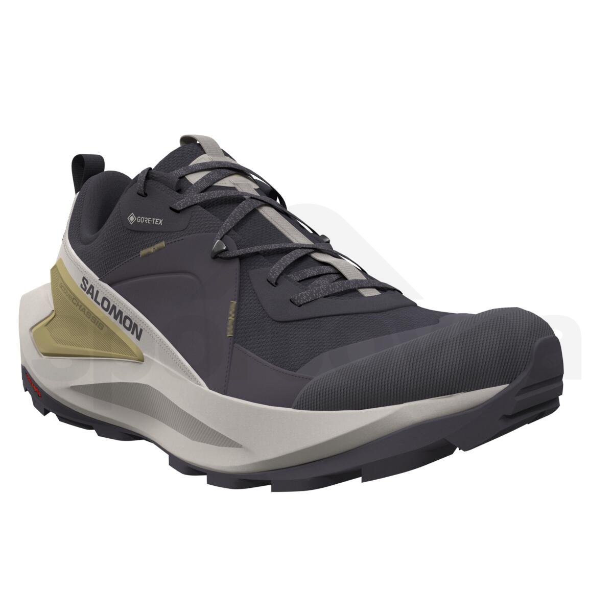 Взуття Salomon Elixir GTX W - сірий