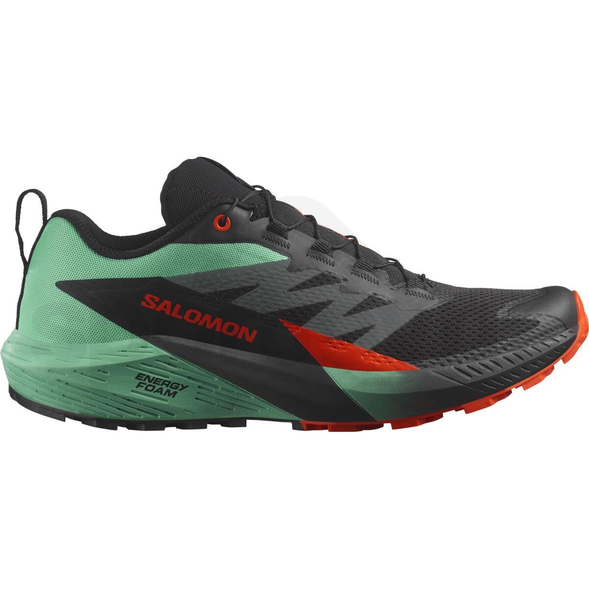 Кросівки Salomon Sense Ride 5 M - чорний