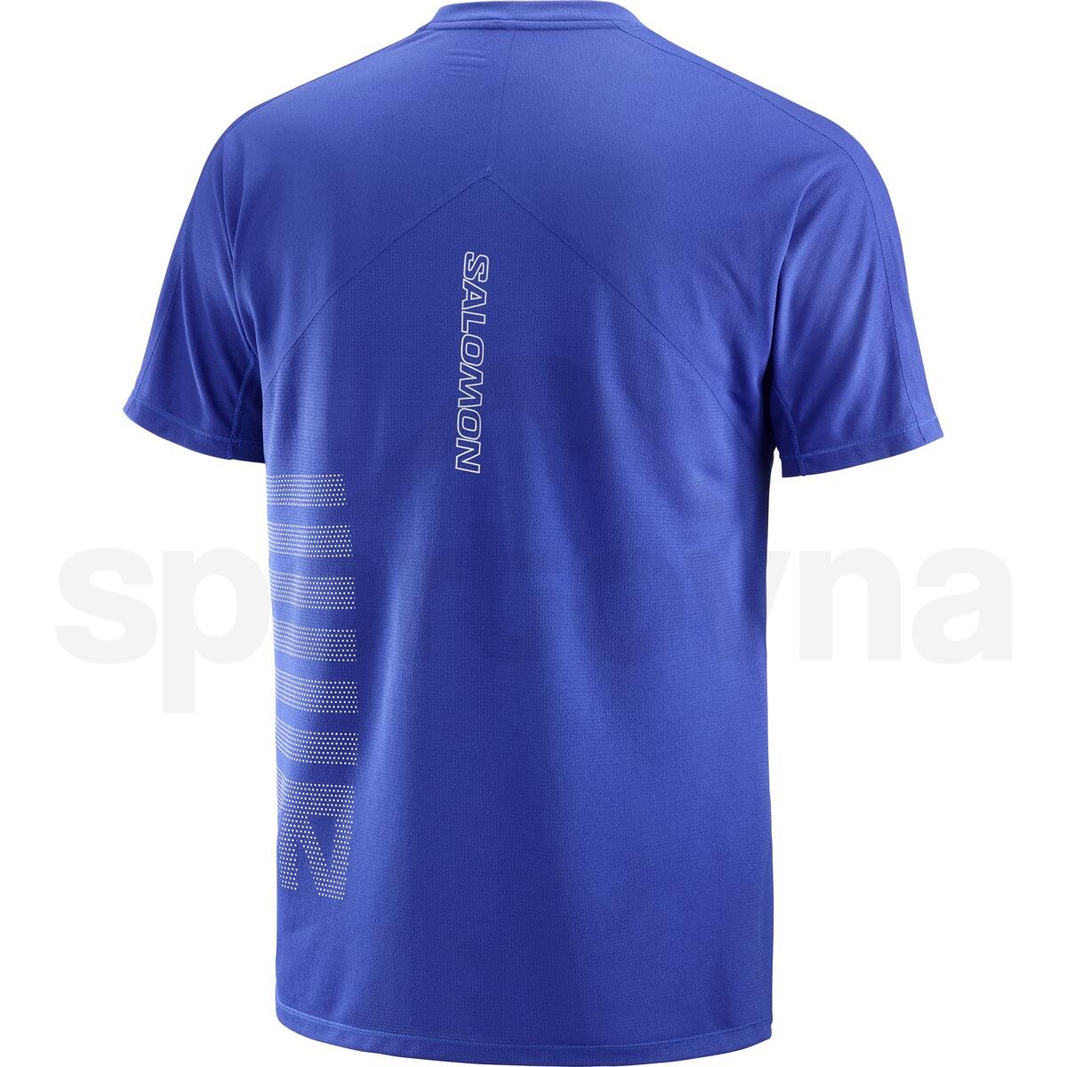 Футболка Salomon Sense Aero SS Tee GFX M - синій