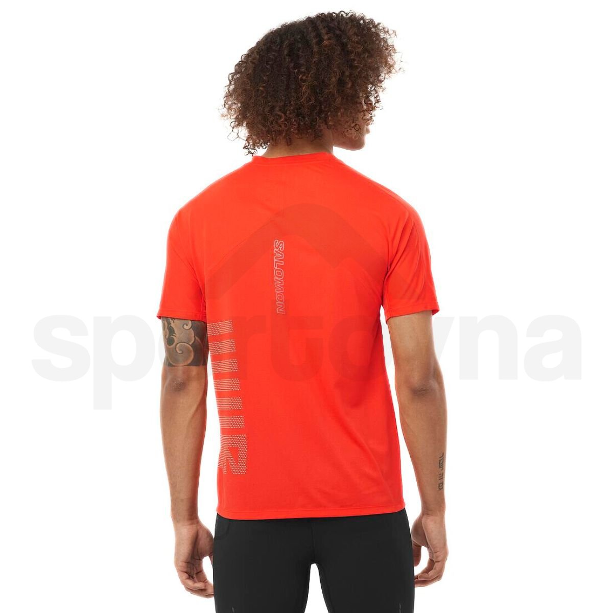 Футболка Salomon Sense Aero SS Tee GFX M - червоний