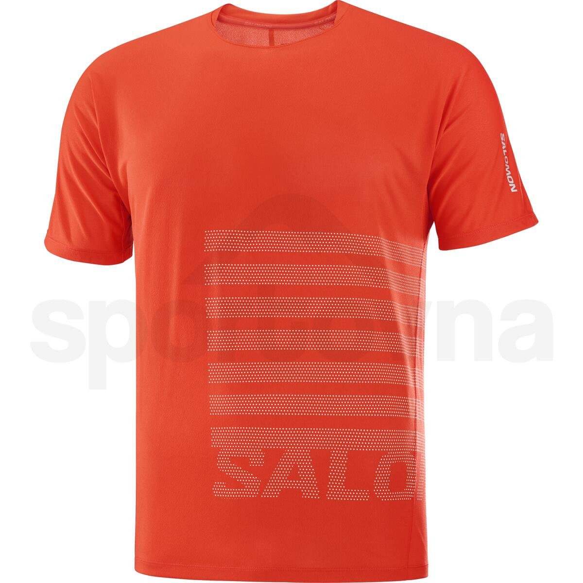 Футболка Salomon Sense Aero SS Tee GFX M - червоний