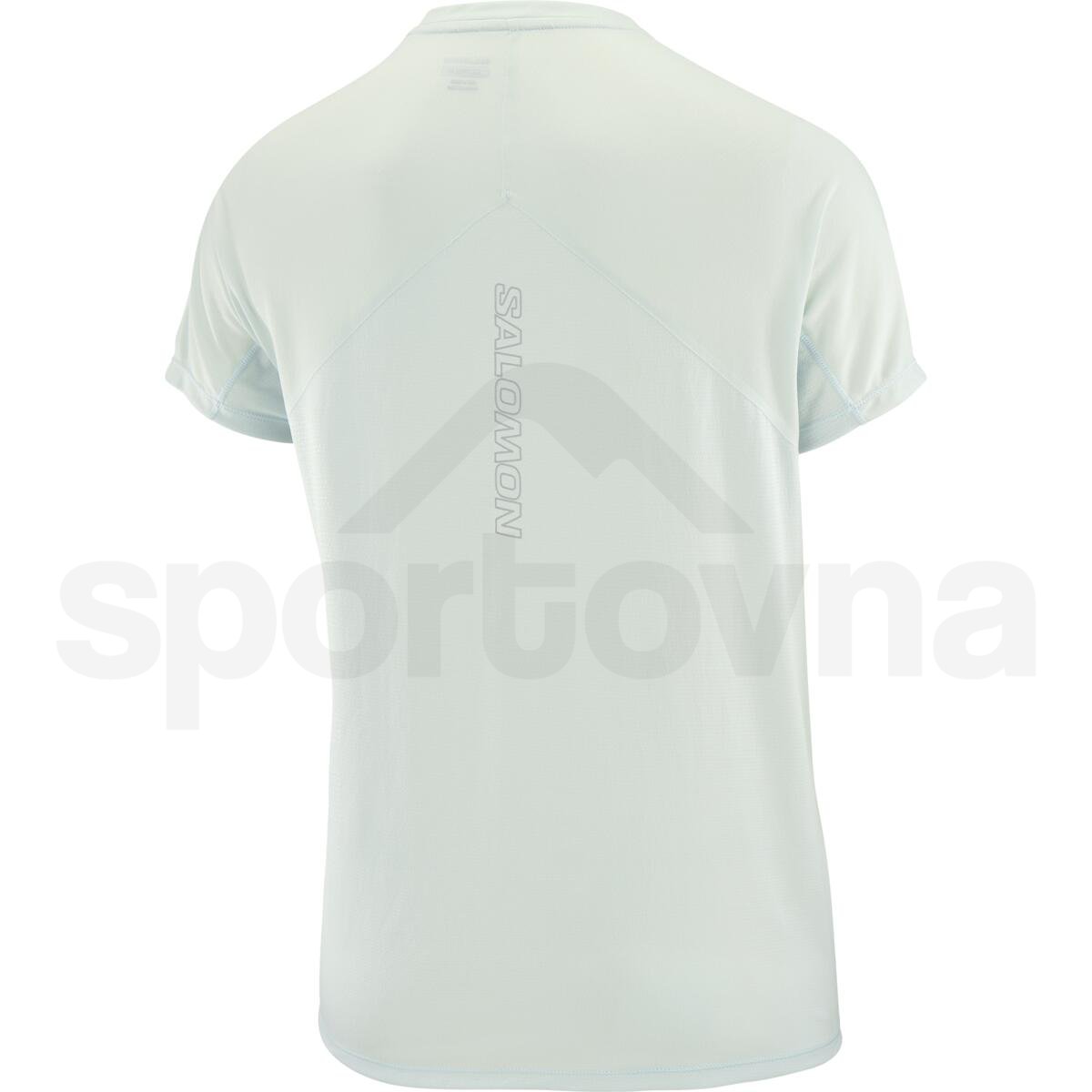 Футболка Salomon Sense Aero SS Tee GFX W - синій