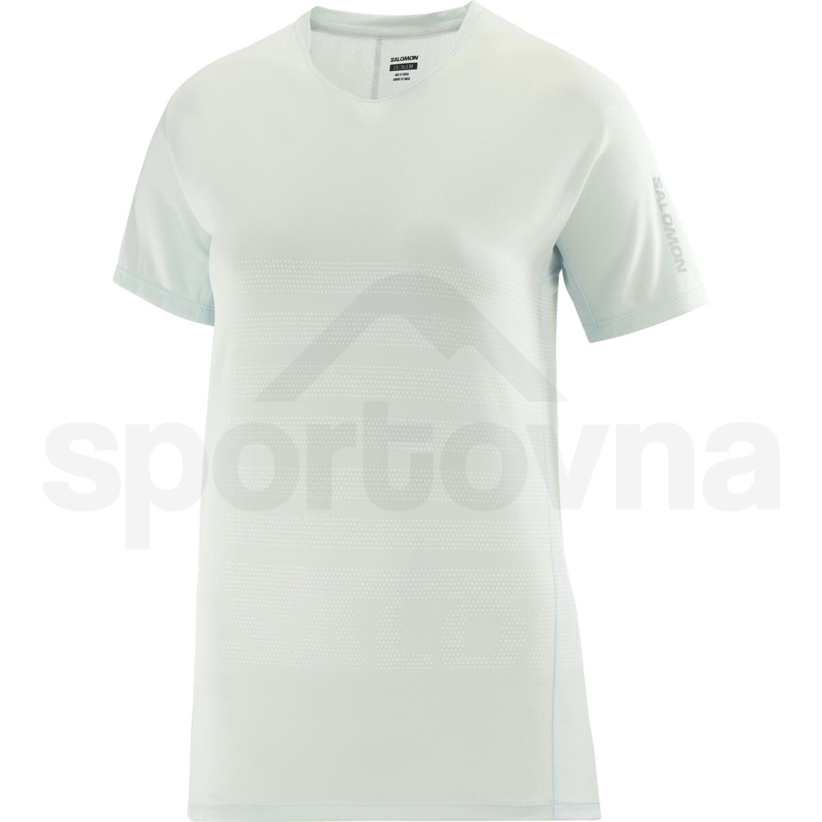 Футболка Salomon Sense Aero SS Tee GFX W - синій