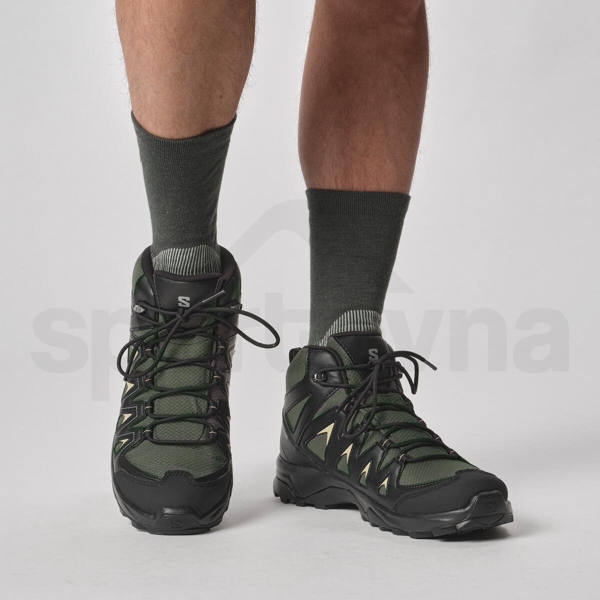 Шкарпетки Salomon X Ultra Access Crew 2-Pack - сині/зелені