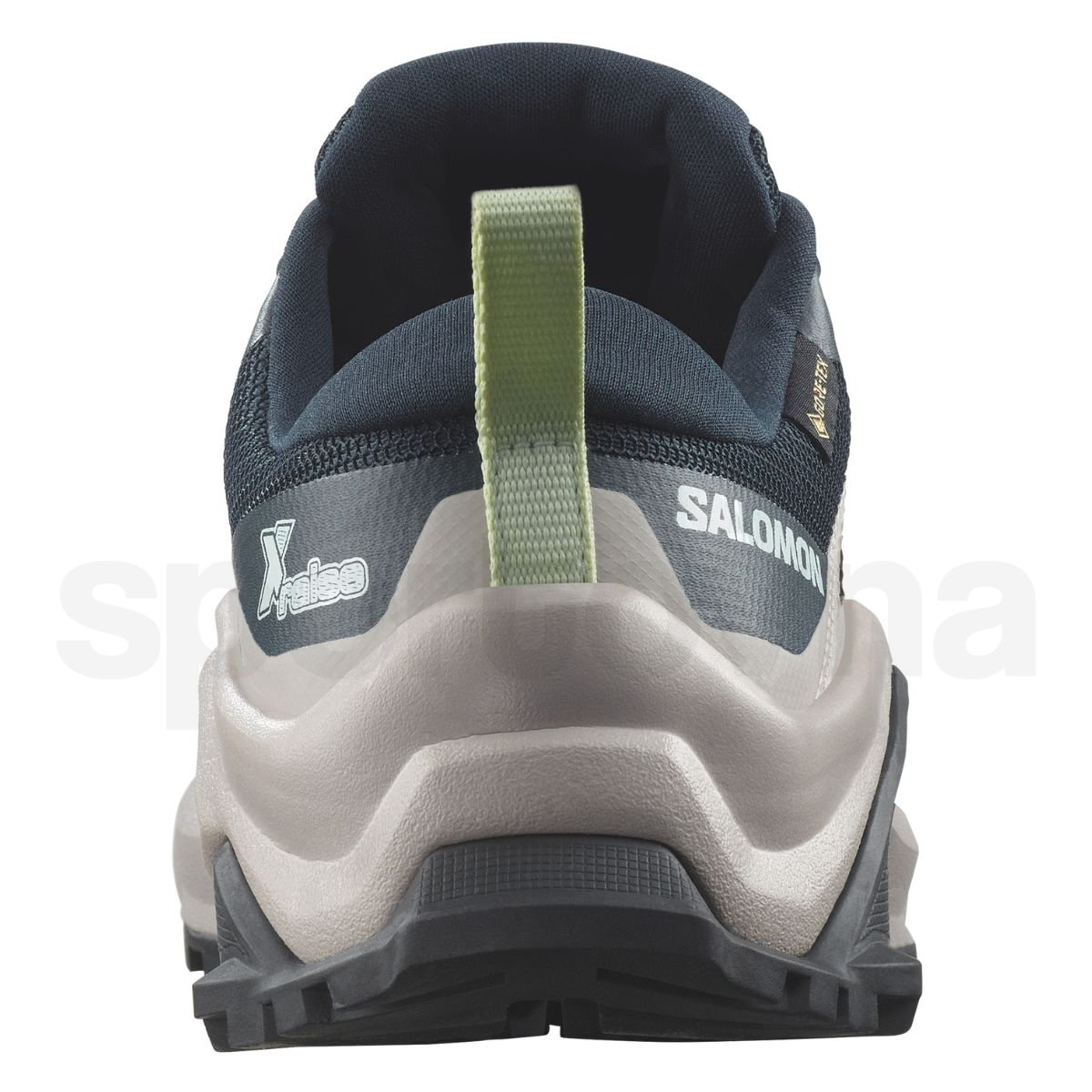 Взуття Salomon X Raise GTX J - синій/бежевий