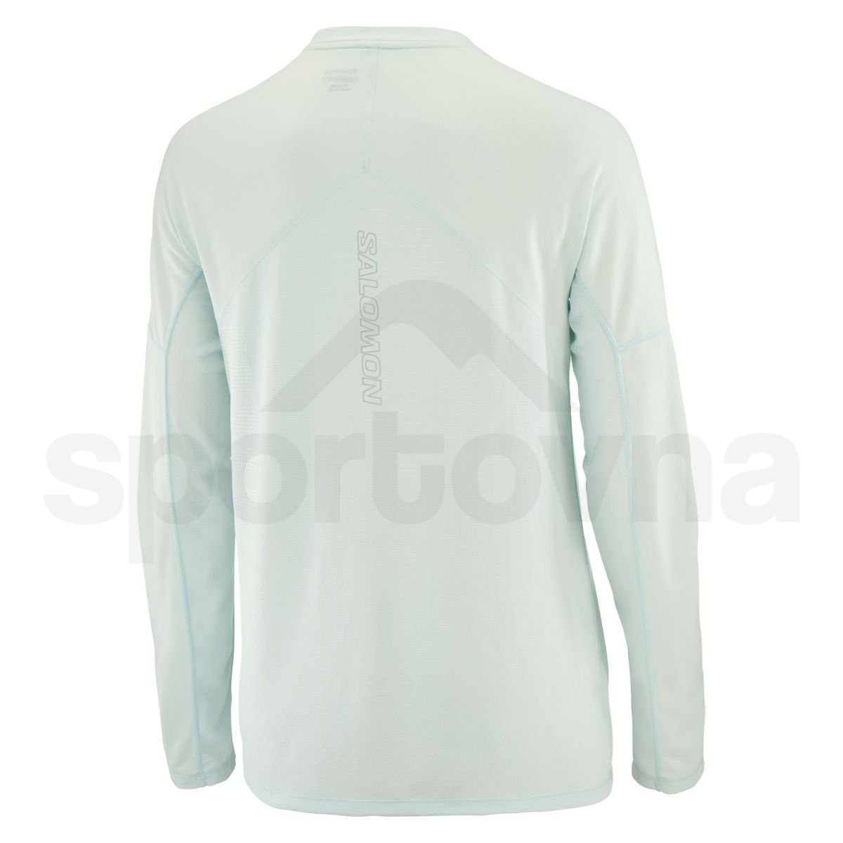 Футболка Salomon Sense Aero LS Tee GFX W - синій