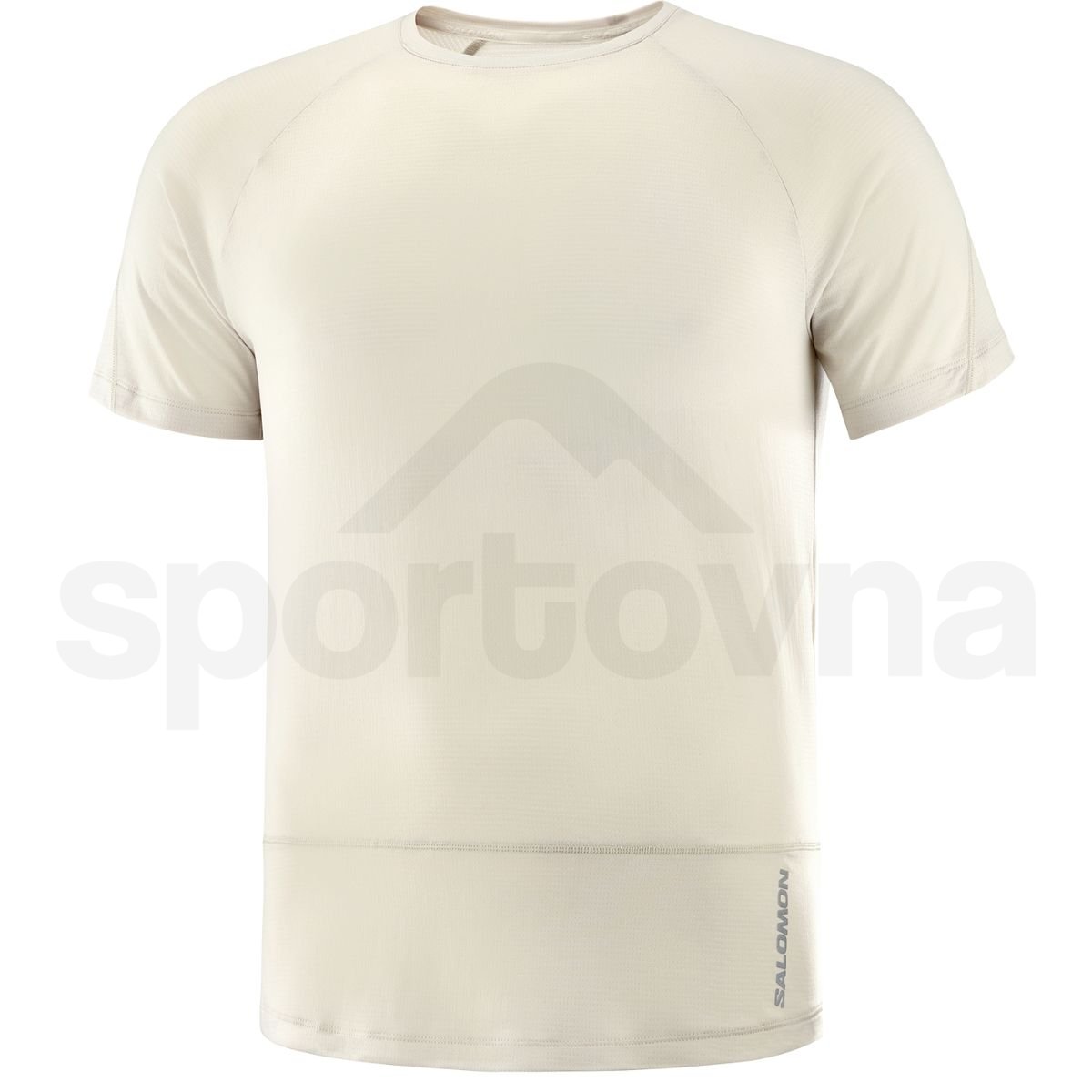 Футболка Salomon Cross Run SS Tee M - бежевий