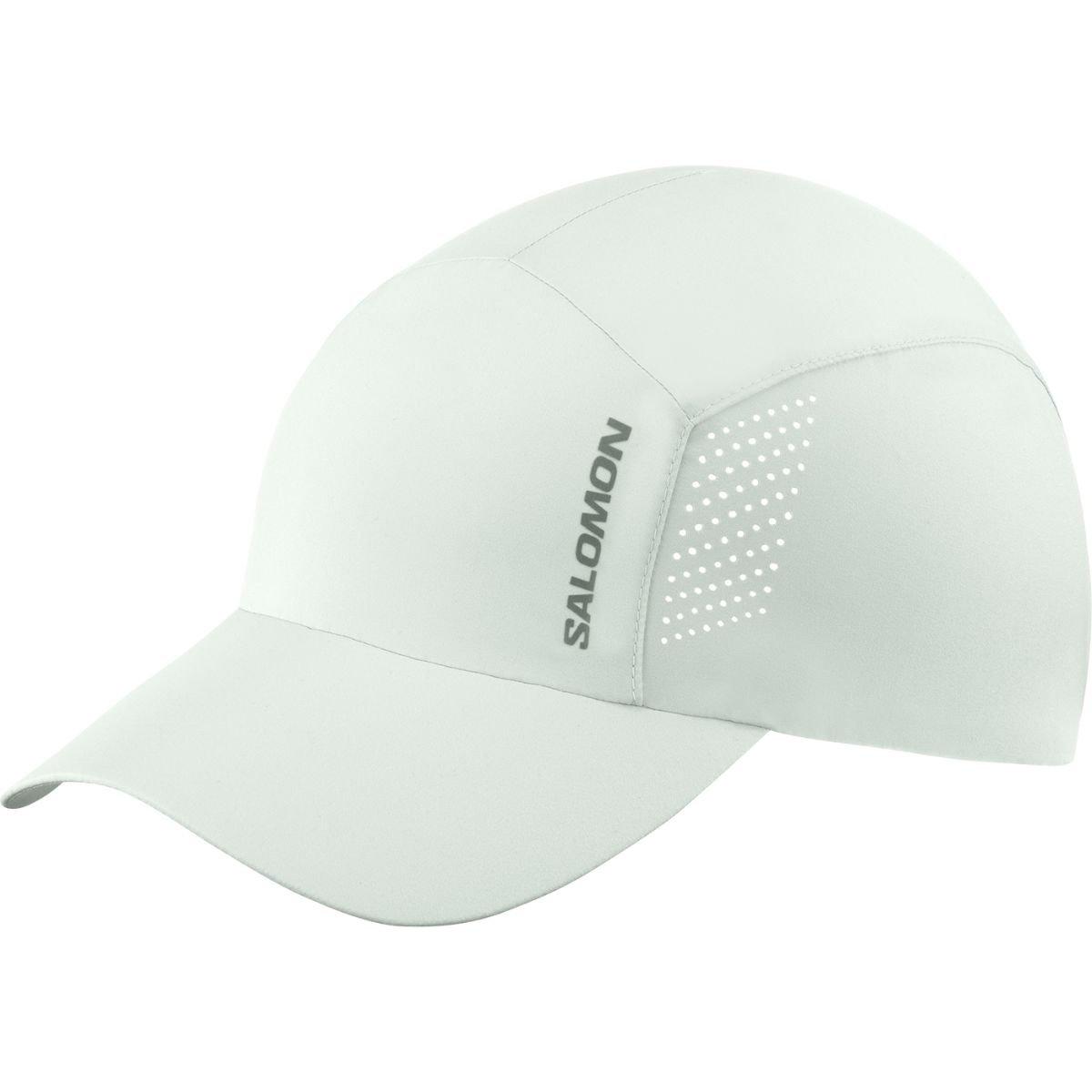 Kšiltovka Salomon Cross Cap - modrá