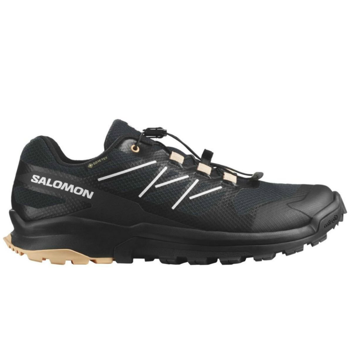 Кросівки Salomon XA Flyer GTX W - чорний