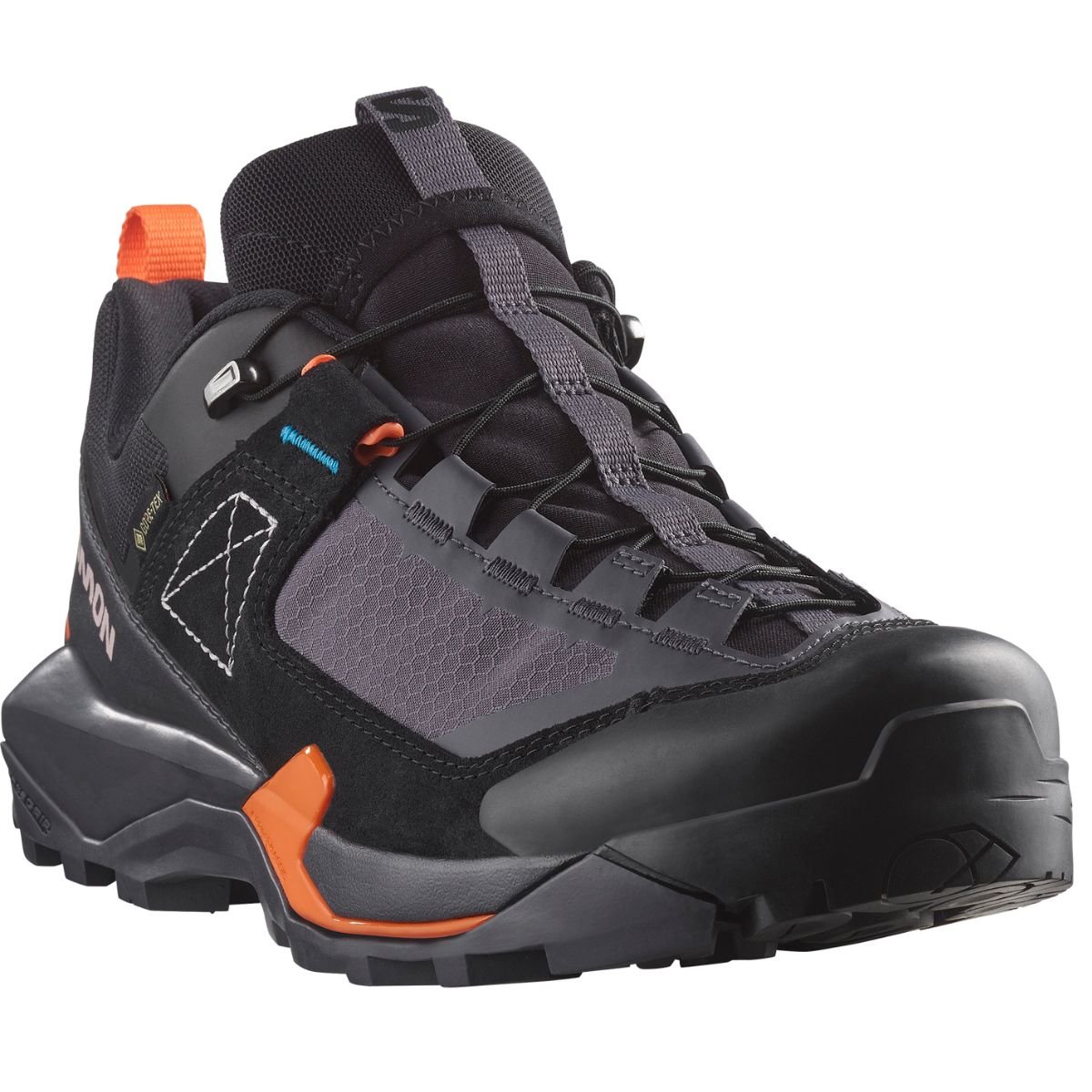 Взуття Salomon X Ultra Alpine GTX W - чорний