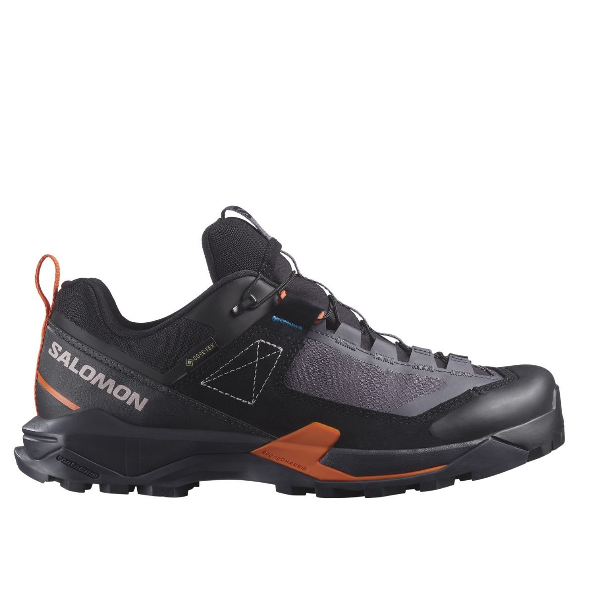 Взуття Salomon X Ultra Alpine GTX W - чорний