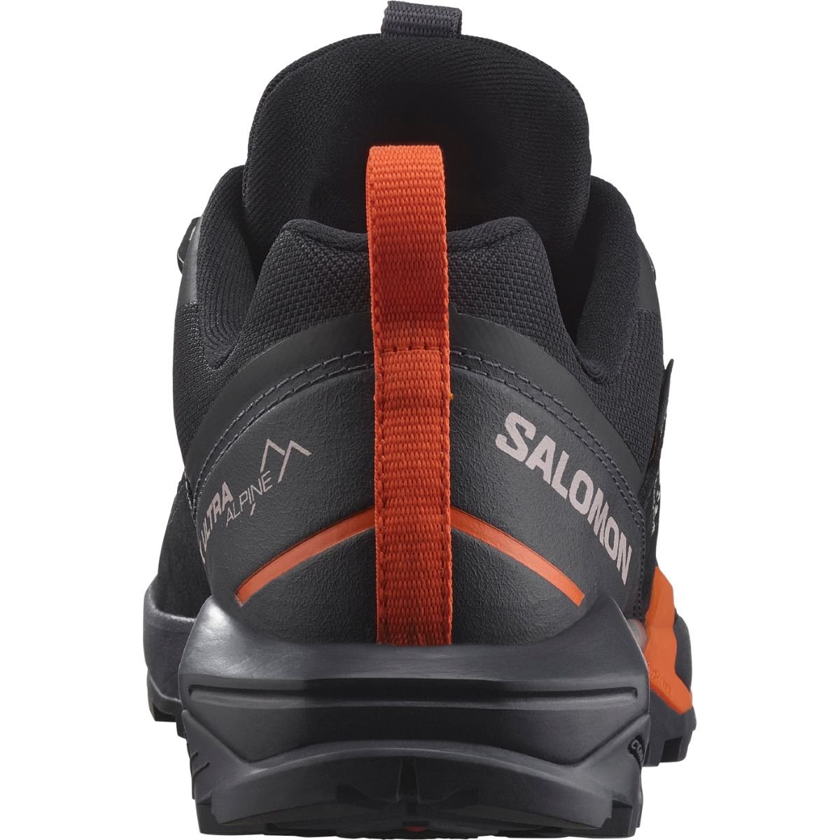 Взуття Salomon X Ultra Alpine GTX W - чорний