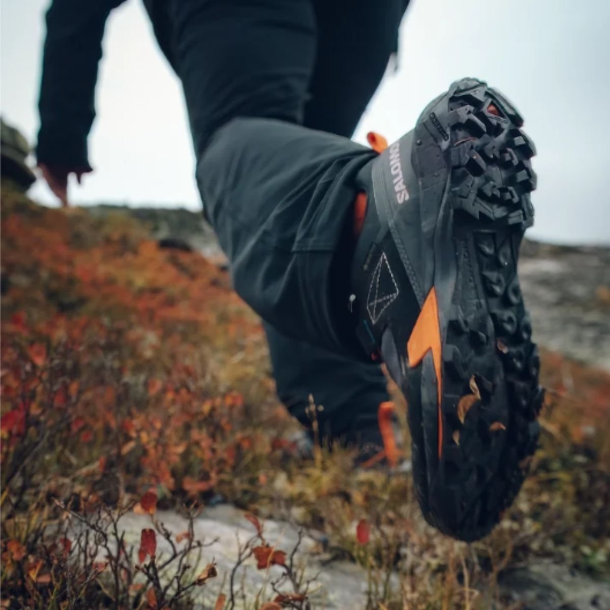 Obuv Salomon X Ultra Alpine GTX M - modrá/černá/oranžová