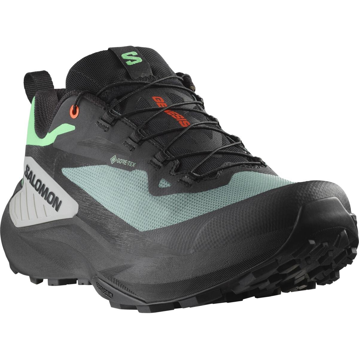 Salomon Genesis GTX M - чорний