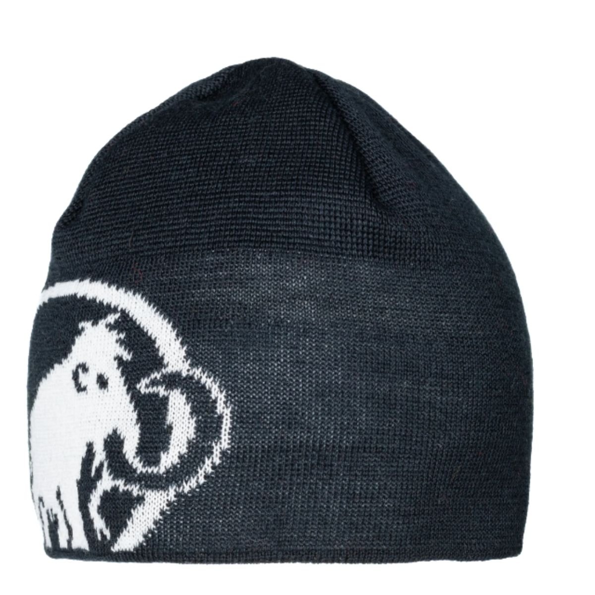 Čepice Mammut Tweak Beanie - modrá/bílá