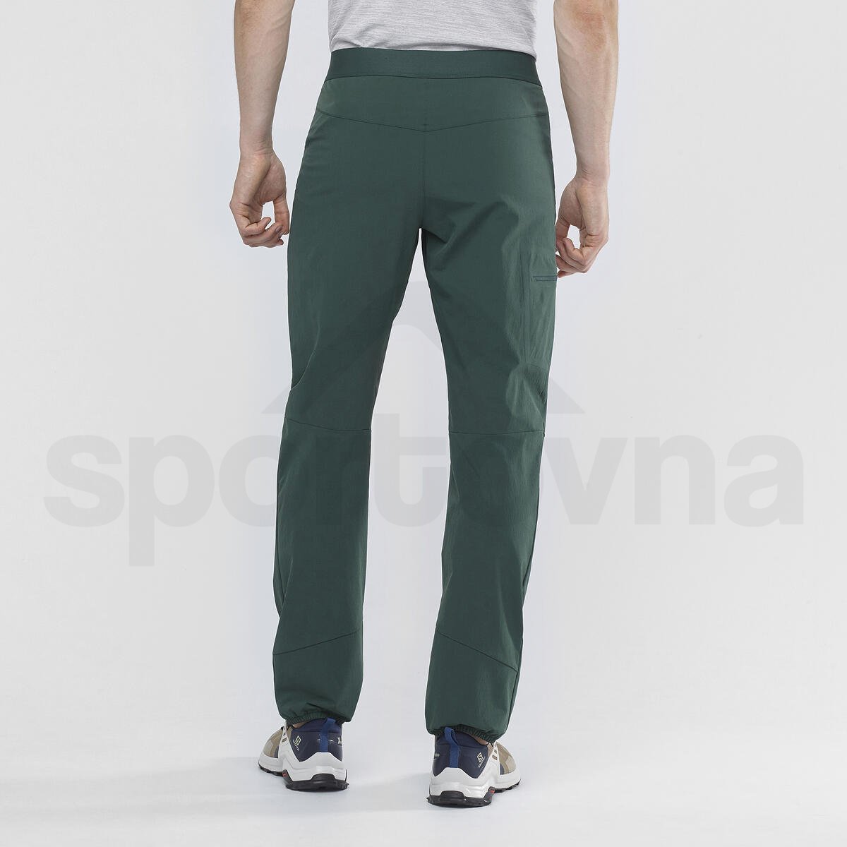 Kalhoty Salomon WAYFARER ALPINE PANT M - zelená