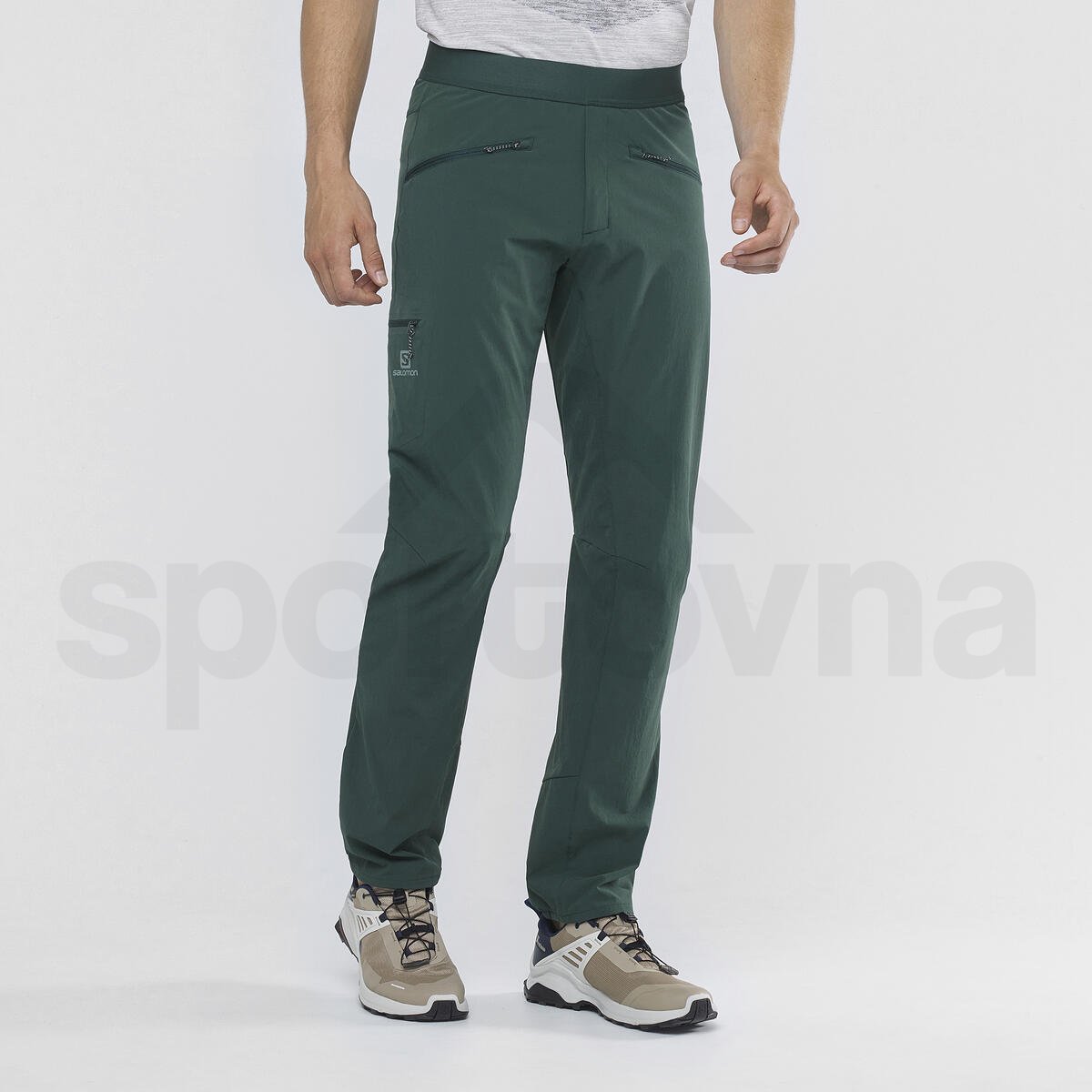 Kalhoty Salomon WAYFARER ALPINE PANT M - zelená