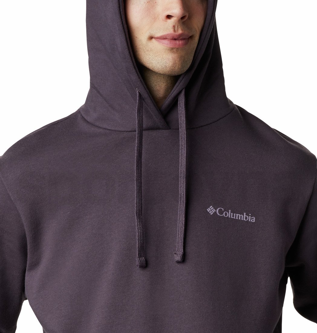 Mikina Columbia Viewmont™ II Sleeve Graphic Hoodie - fialová