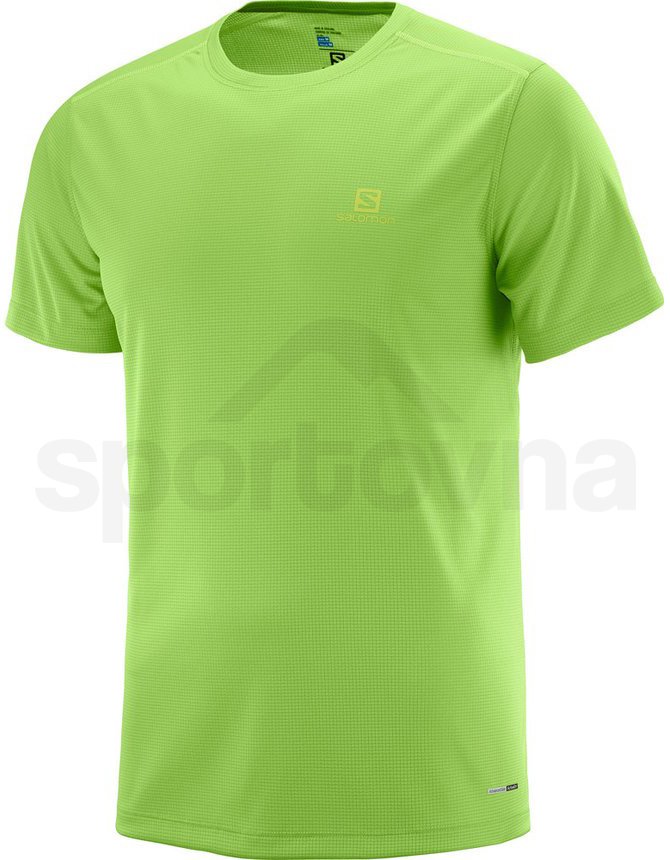 Pánské tričko Salomon Stroll - zelená