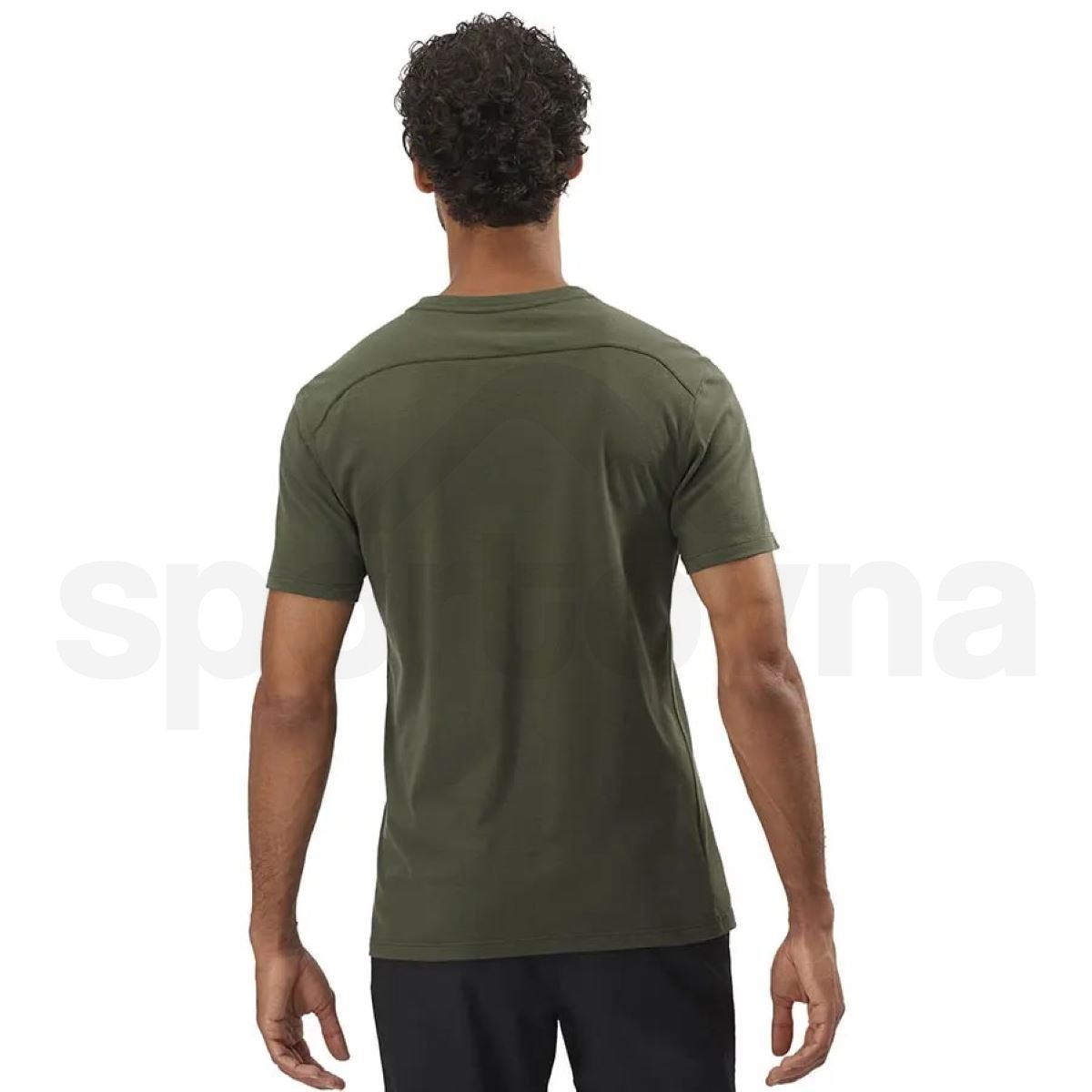 Tričko Salomon ESSENTIAL SOLID M - zelená