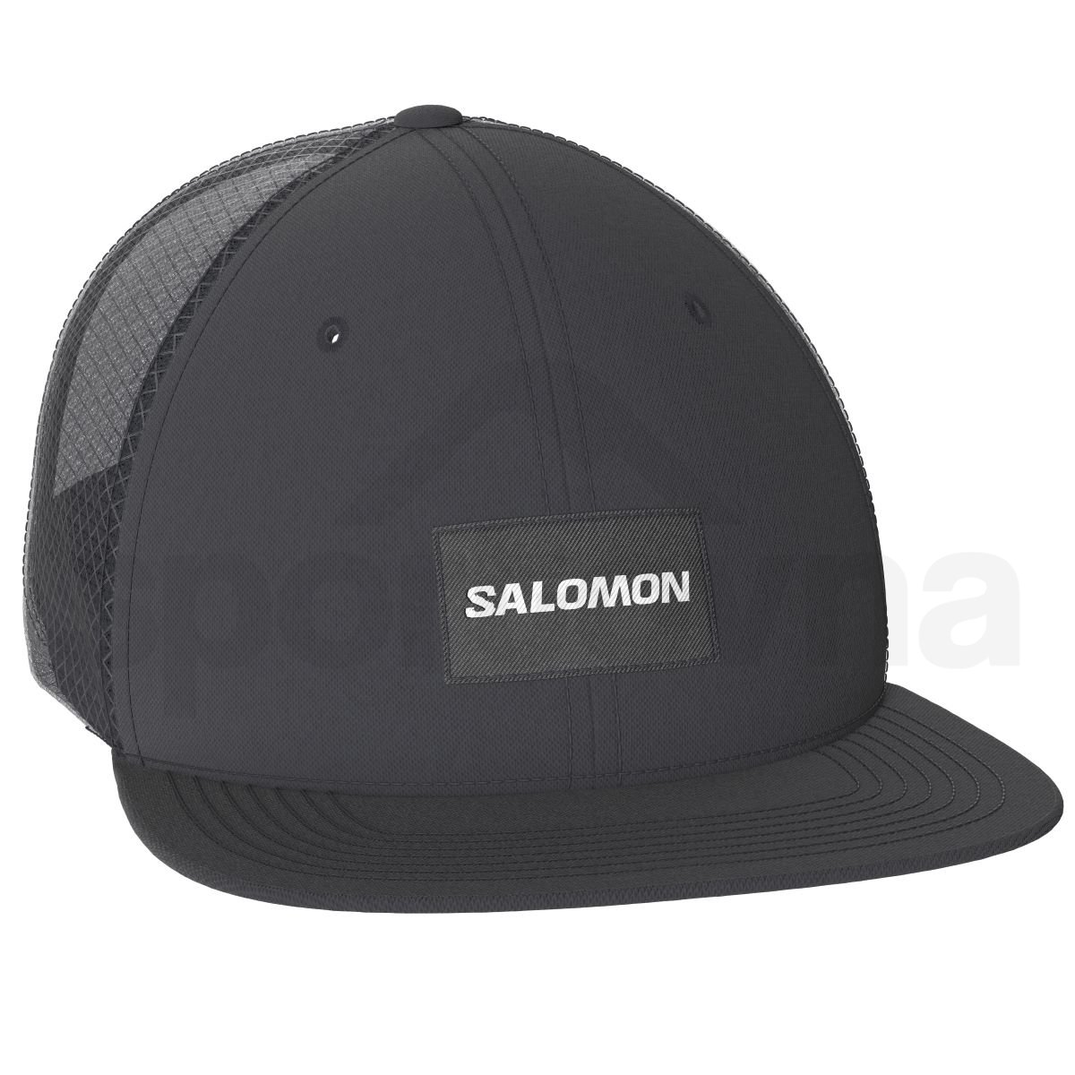 Kšiltovka Salomon Trucker Flat Cap - černá