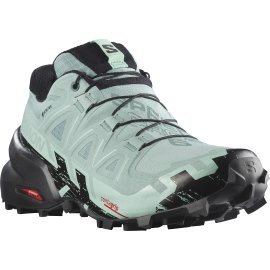 L41743500_5_GHO_SPEEDCROSS 6 GTX W Aqua_Black.png.high-res