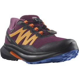 L41596500-Obuv Salomon Hypulse GTX W