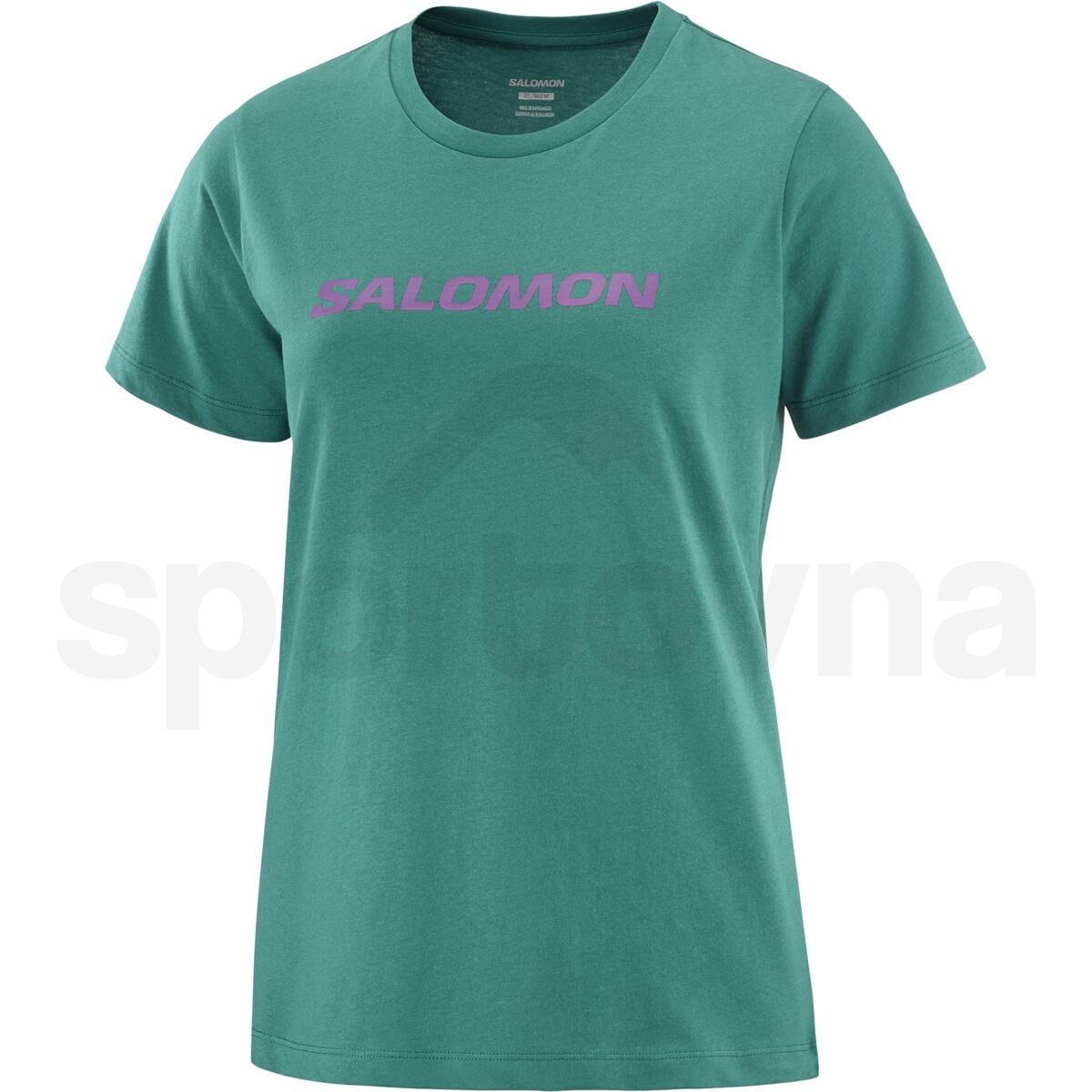 Tričko Salomon Outlife Big Logo W - zelená
