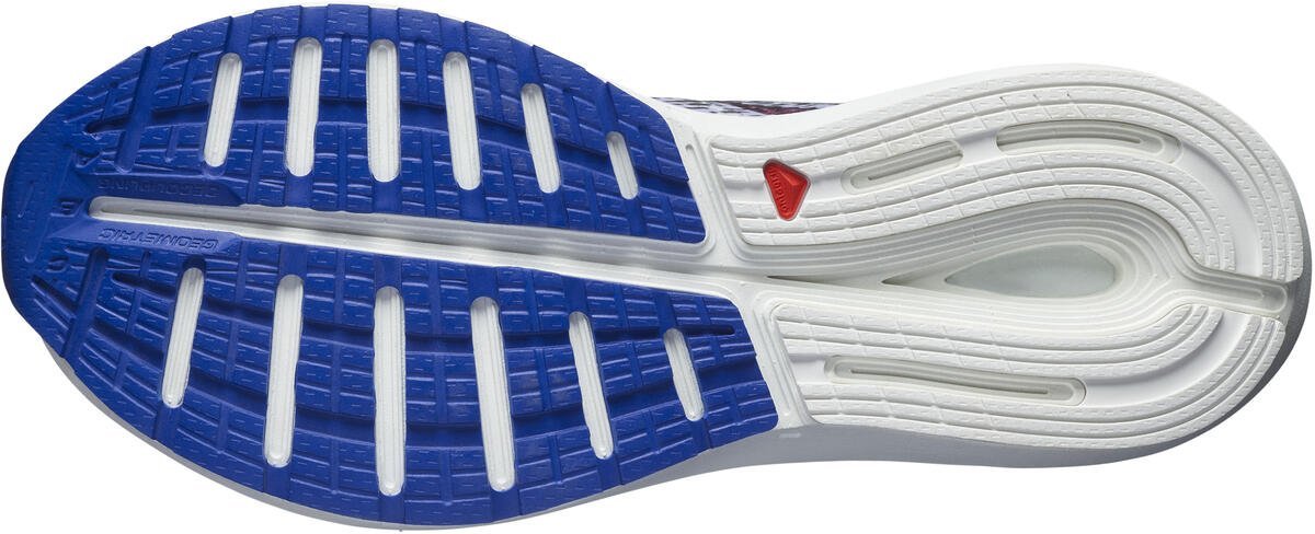 Topánky Salomon SONIC 5 Balance M - červená/modrá
